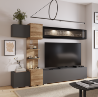 Гостиная "Рейн"